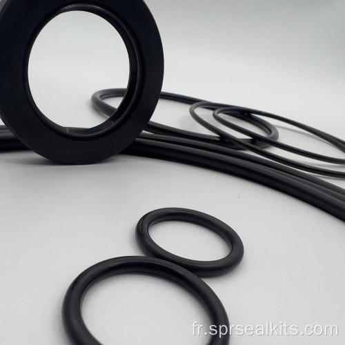 Volvo Swing Motor Seal Kit